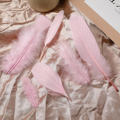 Mixed Pink Feathers Bulk for Crafting Supplies,240Pcs,6 Styles