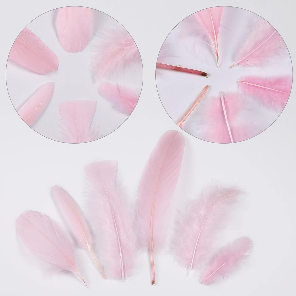 Mixed Pink Feathers Bulk for Crafting Supplies,240Pcs,6 Styles