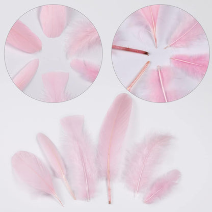 Mixed Pink Feathers Bulk for Crafting Supplies,240Pcs,6 Styles