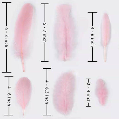 Mixed Pink Feathers Bulk for Crafting Supplies,240Pcs,6 Styles