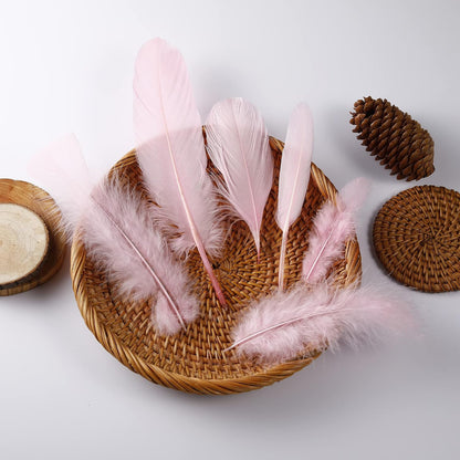 Mixed Pink Feathers Bulk for Crafting Supplies,240Pcs,6 Styles