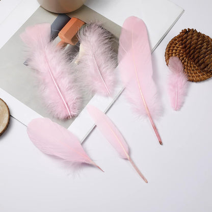 Mixed Pink Feathers Bulk for Crafting Supplies,240Pcs,6 Styles