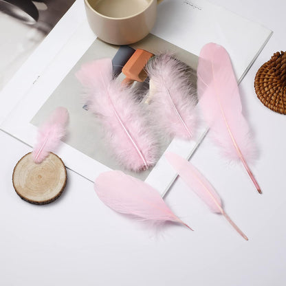 Mixed Pink Feathers Bulk for Crafting Supplies,240Pcs,6 Styles