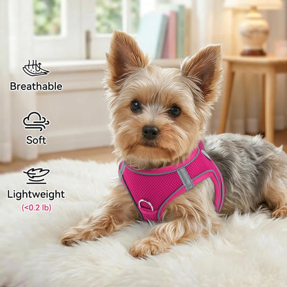 Step-in Dog Harness, Soft Breathable Mesh, Hot Pink M