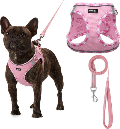 Small Dog Harness with Leash Set, No Escape Easy Walk Puppy Harnesses for Training Walking, Step-in Reflective Soft Dogs Vest for XS S Medium Extra-Small Large Sized Dog(Pink/White,S)
