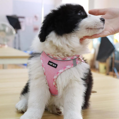 Small Dog Harness with Leash Set, No Escape Easy Walk Puppy Harnesses for Training Walking, Step-in Reflective Soft Dogs Vest for XS S Medium Extra-Small Large Sized Dog(Pink/White,S)