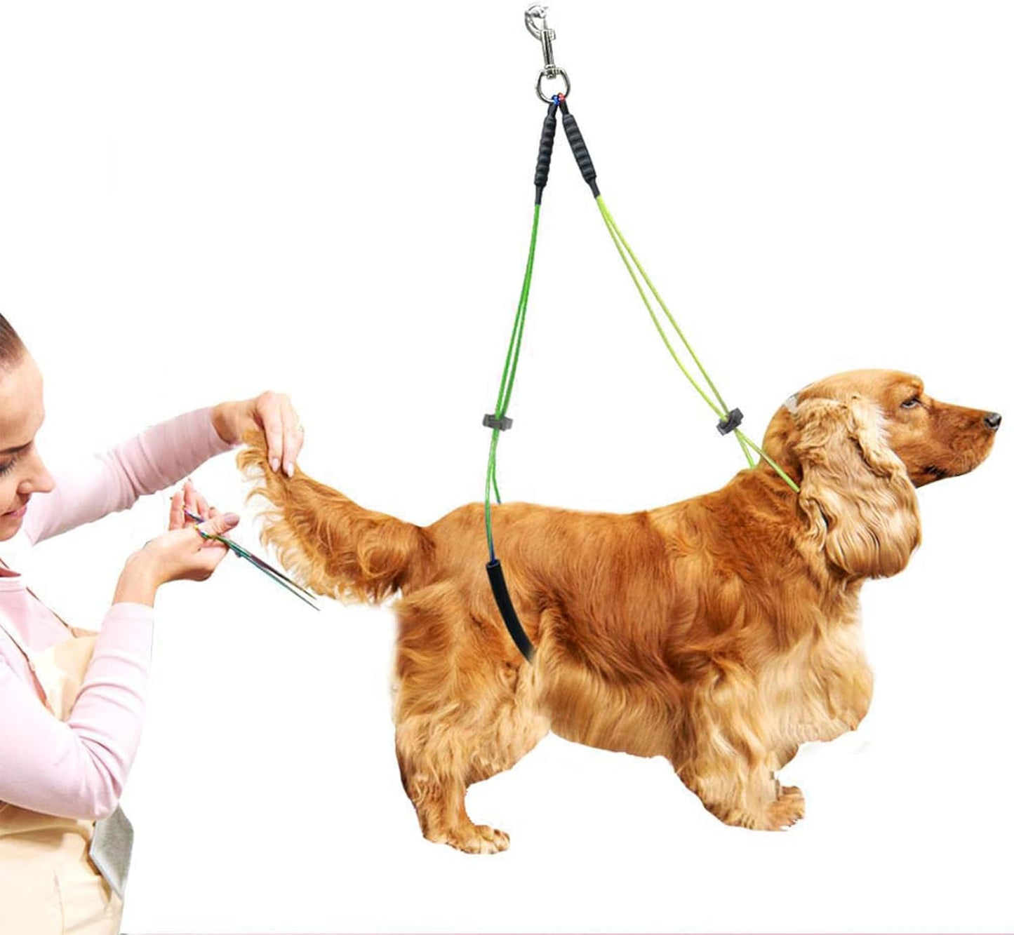 Pet Dog Grooming Loop,No Sit Haunch Holder Wash Choker with Loop Noose Double Noose Ropes Adjustable Loop Noose, Dog Grooming Leash for Dogs Cats, Fix Pets