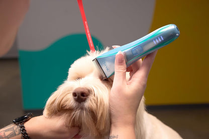 Wahl Pro Animal Motiva2 - Professional Pet Clipper for Dogs, Cats & Horses - Cordless - Digital Display with LED Indicator - Textured Grip - Easy to Carry & Travel Lock - Blue Ivy