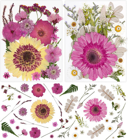 2 Packs Big Pink Dried Pressed Flowers for Resin Molds
