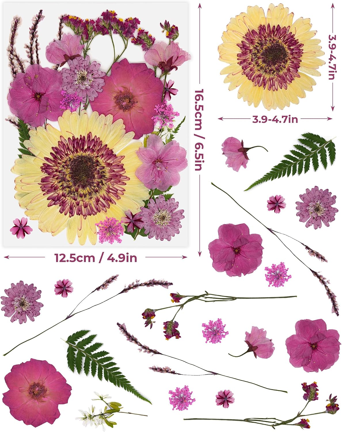 2 Packs Big Pink Dried Pressed Flowers for Resin Molds