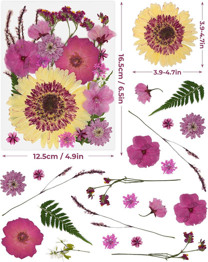 2 Packs Big Pink Dried Pressed Flowers for Resin Molds