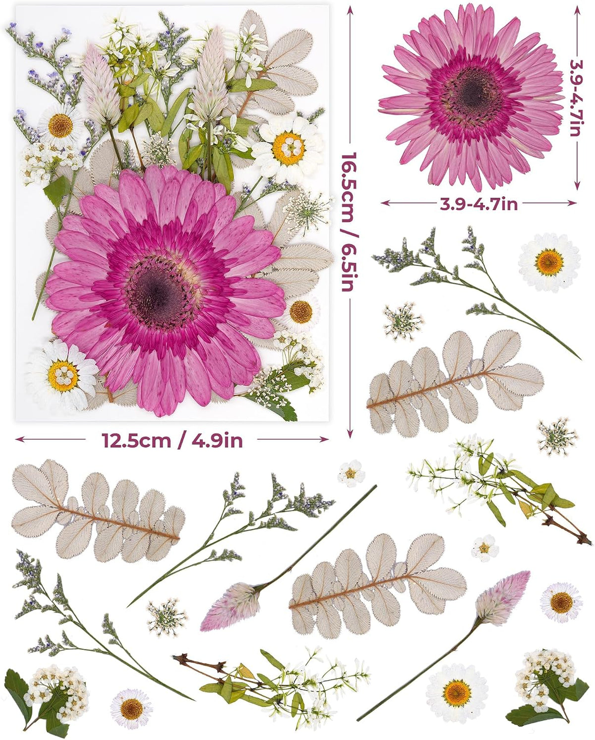 2 Packs Big Pink Dried Pressed Flowers for Resin Molds