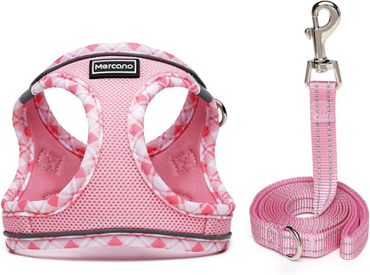 Soft Mesh Dog Harness and Leash Set, Step-in Reflective Breathable Lightweight Vest Harnesses with Safety Buckle for Small Dogs, Cats (Pink, S)