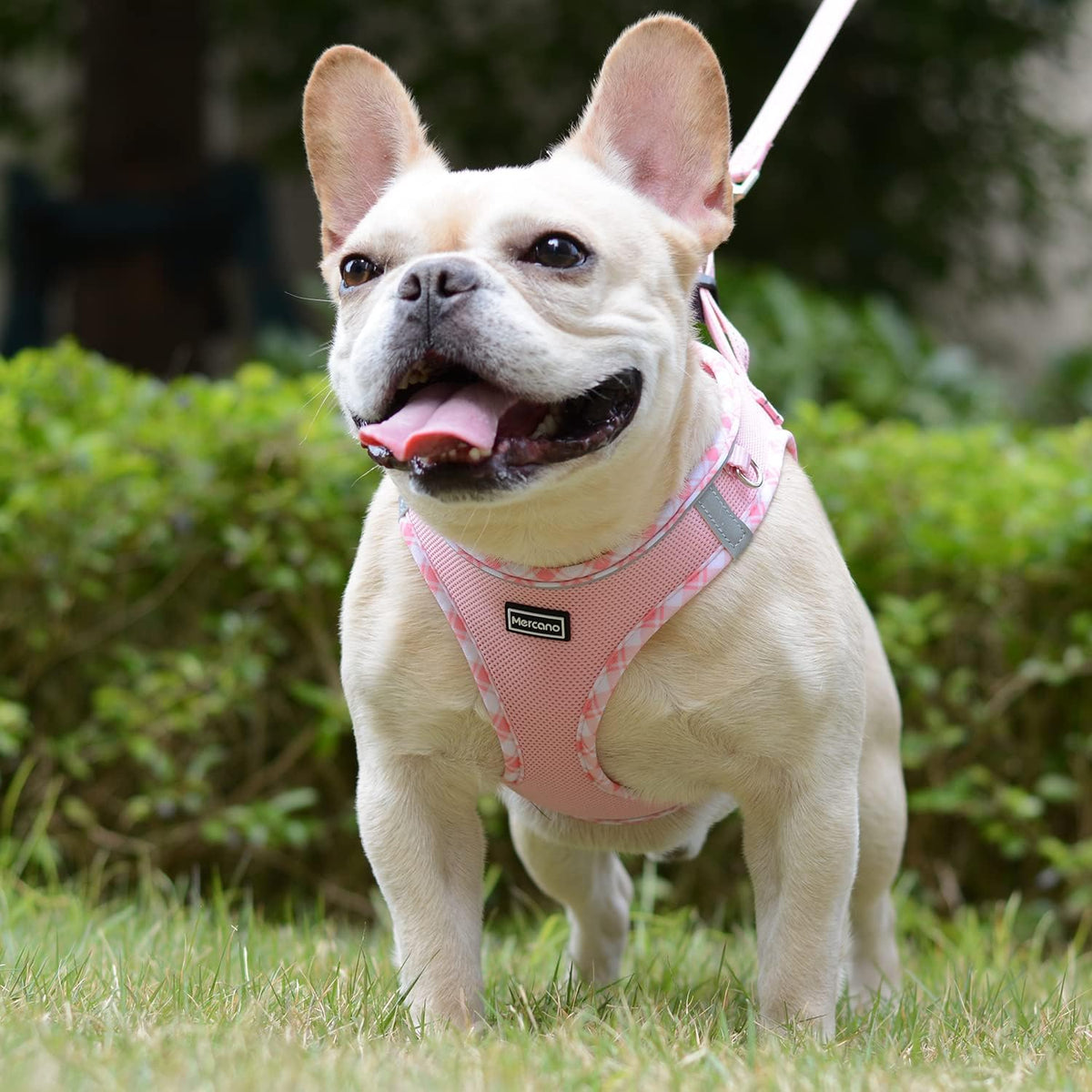 Soft Mesh Dog Harness and Leash Set, Step-in Reflective Breathable Lightweight Vest Harnesses with Safety Buckle for Small Dogs, Cats (Pink, S)