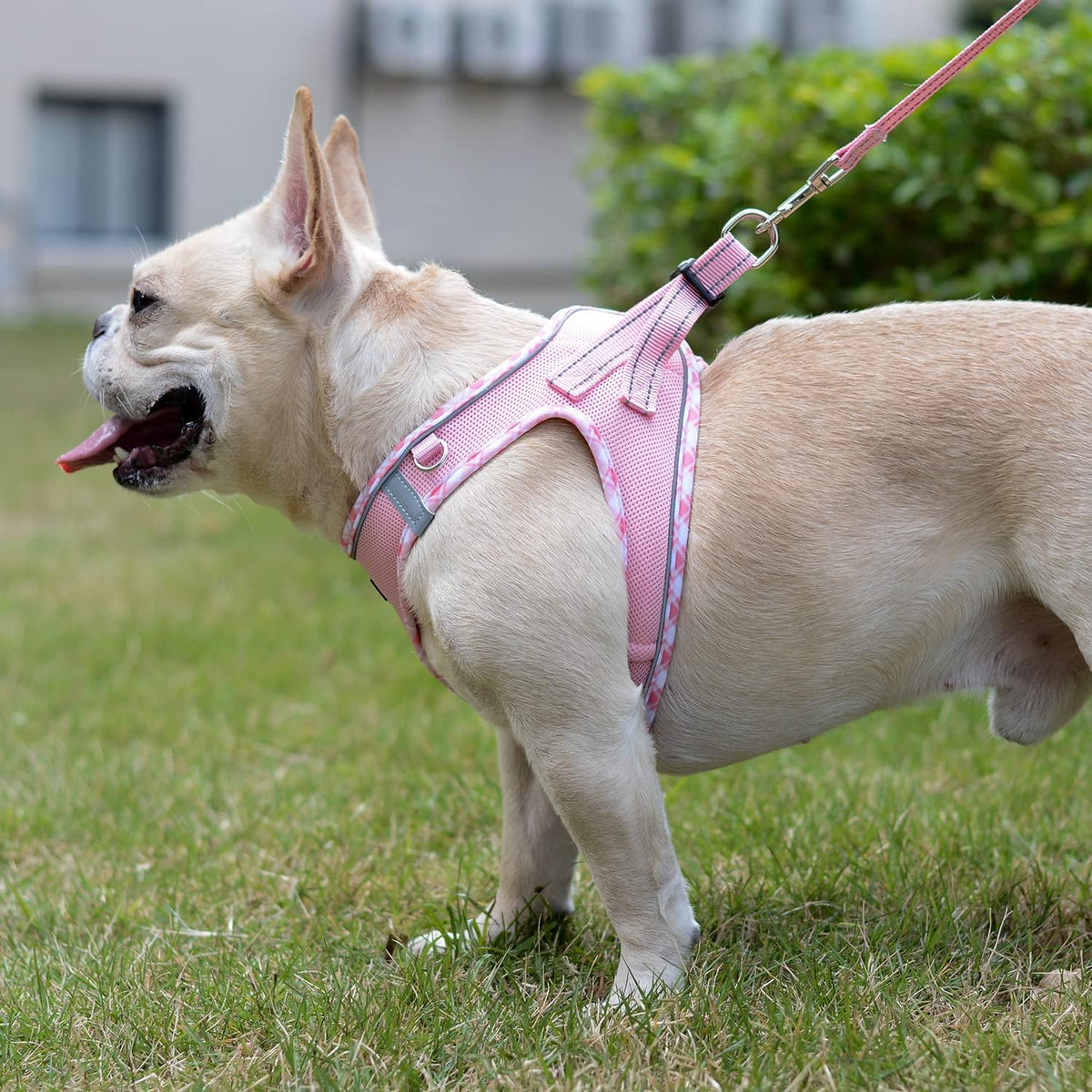 Soft Mesh Dog Harness and Leash Set, Step-in Reflective Breathable Lightweight Vest Harnesses with Safety Buckle for Small Dogs, Cats (Pink, S)