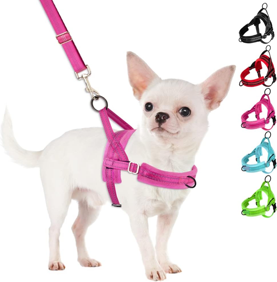 SlowTon No Pull Small Dog Harness and Leash Set, Puppy Soft Vest Harness Neck & Chest Adjustable, Reflective Lightweight Harness & Anti-Twist Pet Lead Combo for Small Medium Dogs (Fuchsia, XS)