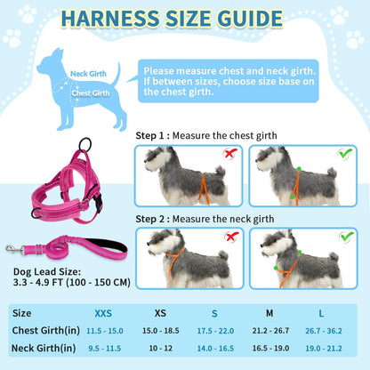 SlowTon No Pull Small Dog Harness and Leash Set, Puppy Soft Vest Harness Neck & Chest Adjustable, Reflective Lightweight Harness & Anti-Twist Pet Lead Combo for Small Medium Dogs (Fuchsia, XS)