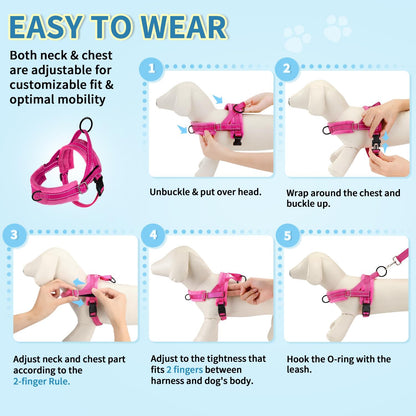 SlowTon No Pull Small Dog Harness and Leash Set, Puppy Soft Vest Harness Neck & Chest Adjustable, Reflective Lightweight Harness & Anti-Twist Pet Lead Combo for Small Medium Dogs (Fuchsia, XS)