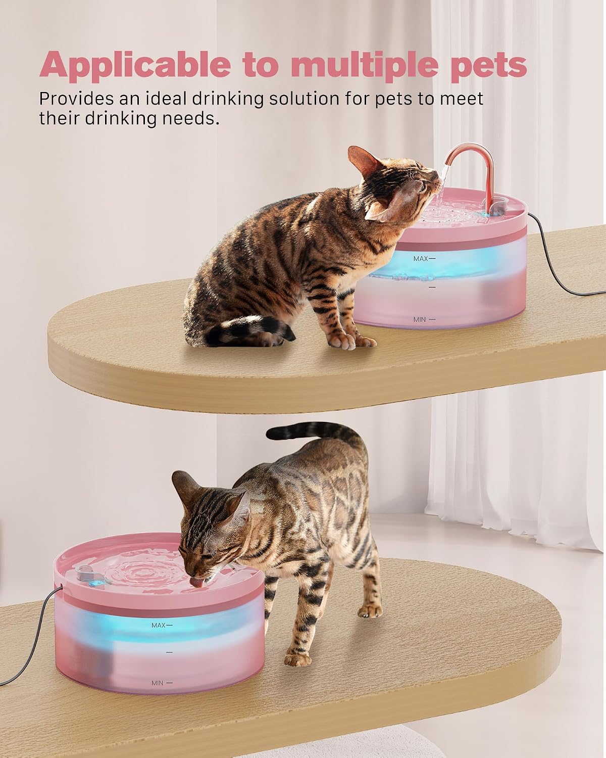 Pink Cat Water Fountain: Super Silent Cats Fountain