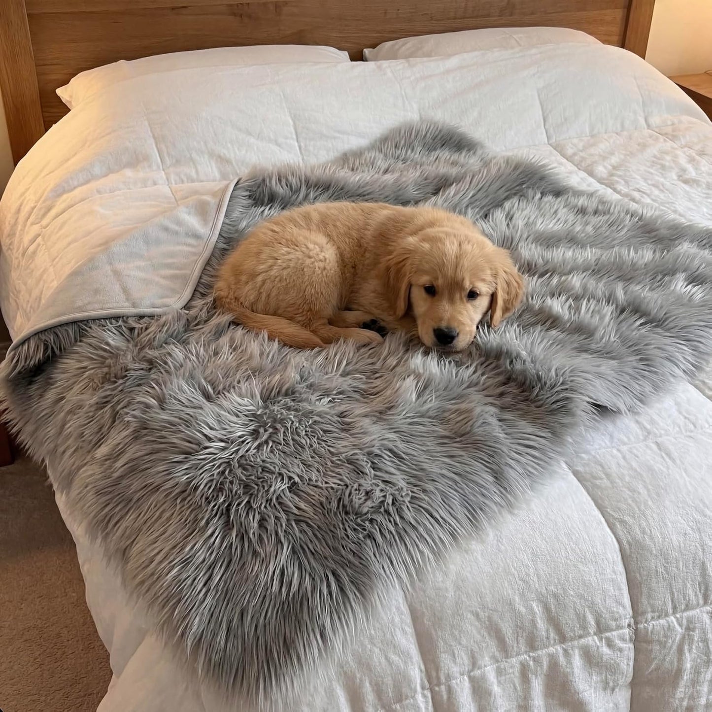 IHAPPYDOG Waterproof Faux Fur Dog Blanket – Pet Throw & Couch Protector for Sofa, Bed, Furniture – Plush Pup Cover for Small Medium Large Dogs – Machine Washable – Grey – 40" x 30"