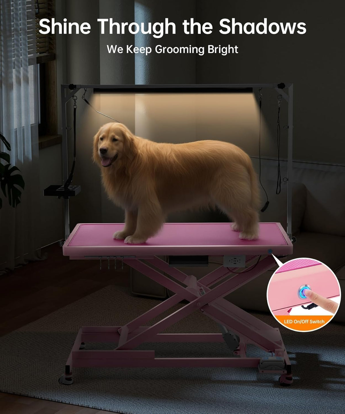 POLIMO Professional LED Electric Dog Grooming Table - Heavy Duty