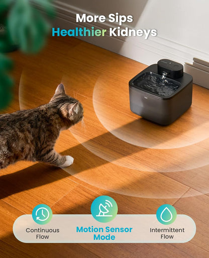 oneisall Wireless Cat Water Fountain: 74oz/2.2L Cordless Pet Water Fountains, 4000mAh Battery Operated Ultra-Quiet Integrated SilentFlow™ Pump for Cats Indoor, Automatic Cat Water Dispenser, BPA-Free