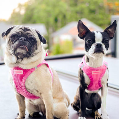 Best Pet Supplies - All Weather Plush, Reflective, No Pull Harness for Small, Medium Dogs, Cats - Secure with Hook & Loop Fastener, Buckle, Double D-Rings - Fuchsia Corduroy, S