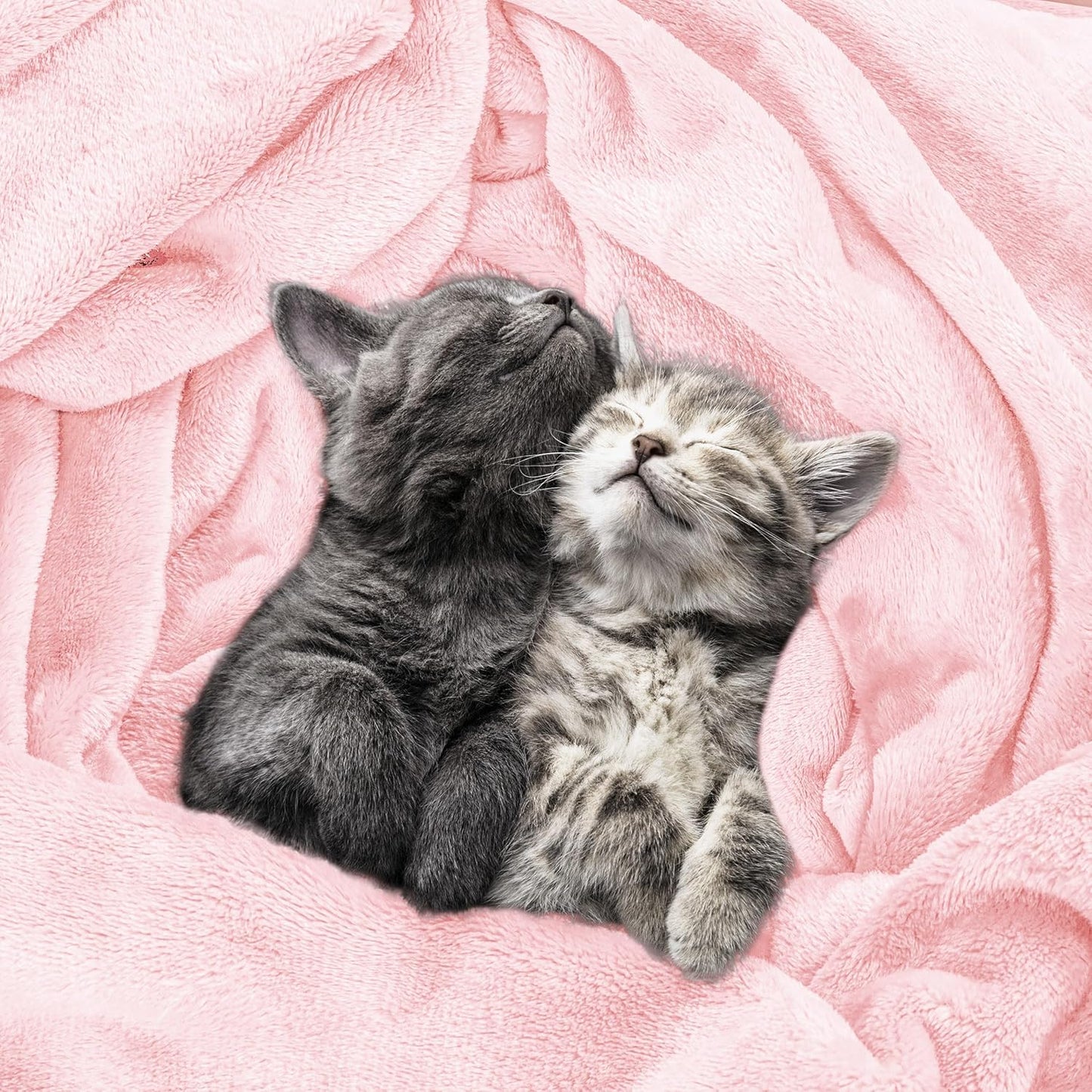 Fleece Blanket Twin Size Pink 300GSM Luxury Anti-Static Fuzzy Soft Microfiber Dorm Bed Blanket for Girls (60x80 Inch)