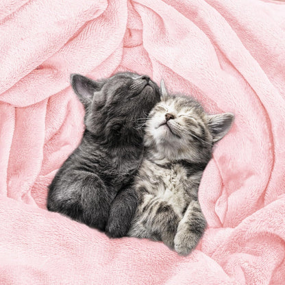 Fleece Blanket Twin Size Pink 300GSM Luxury Anti-Static Fuzzy Soft Microfiber Dorm Bed Blanket for Girls (60x80 Inch)