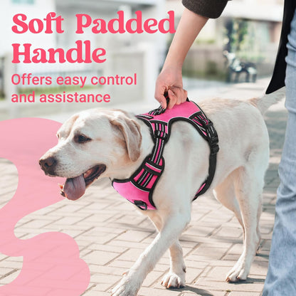 Large Dog Harness, Easy Wear with 3 Buckles and Lift Handle