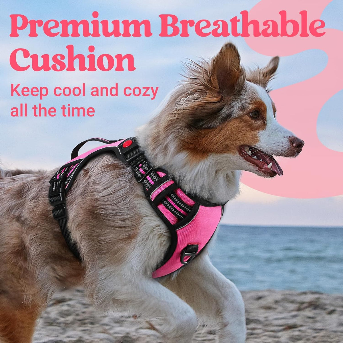 Large Dog Harness, Easy Wear with 3 Buckles and Lift Handle