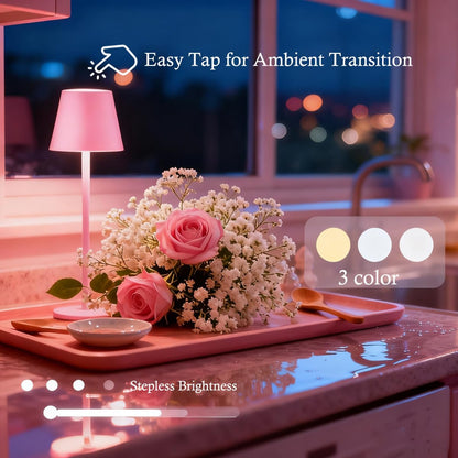 Pink Rechargeable Table Lamp Set of 2,Cute Small Pink lamp for Girls Bedroom Accessories for Dorm Room Bedside Nightstand Shower Lamp,Cordless Desk Lamp Touch Lamp,Home Decor