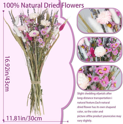 Dried Flowers Bouquet Dried Daisy Flower Natural Lavender Dry Flower Bunny Tails Pink Gerber Daisies Flowers Wheat Stalks Floral Stems Arrangements for Vase Table Centerpiece Decor Farmhouse