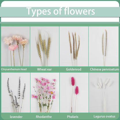 Dried Flowers Bouquet Dried Daisy Flower Natural Lavender Dry Flower Bunny Tails Pink Gerber Daisies Flowers Wheat Stalks Floral Stems Arrangements for Vase Table Centerpiece Decor Farmhouse
