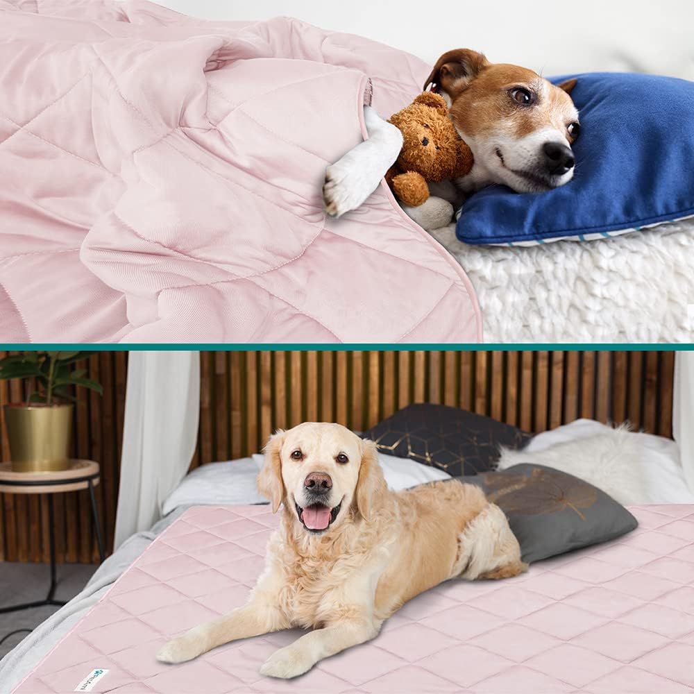 Cooling Dog Blanket Lightweight Soft for Large Pet Cat, 60x80 Pink