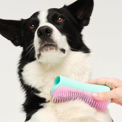 Pet Teezer De-Shedding Dog Grooming Brush, Dry Brush or Dog Bath Brush for Wet or Dry Fur, Large, Mint & Pink