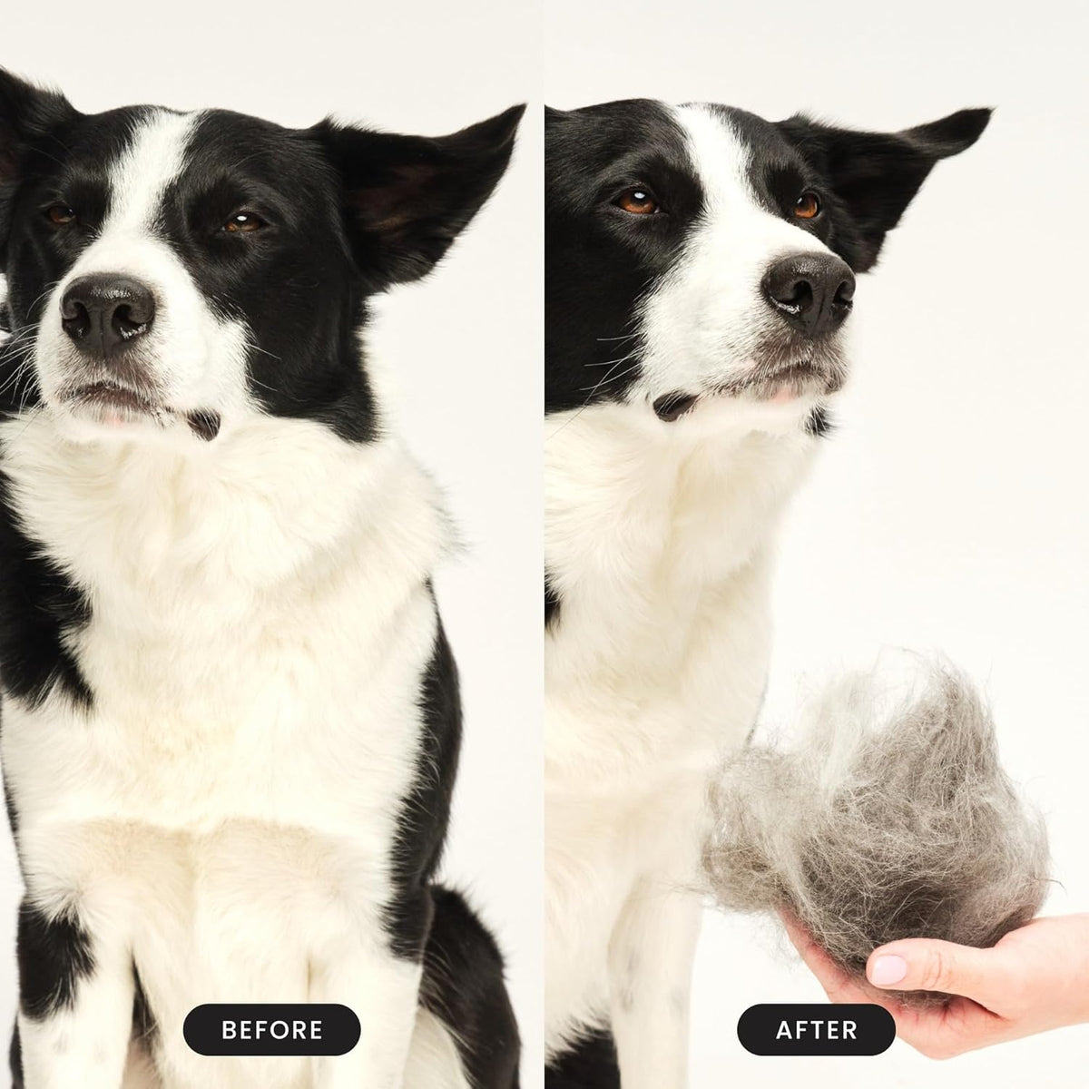 Pet Teezer De-Shedding Dog Grooming Brush, Dry Brush or Dog Bath Brush for Wet or Dry Fur, Large, Mint & Pink