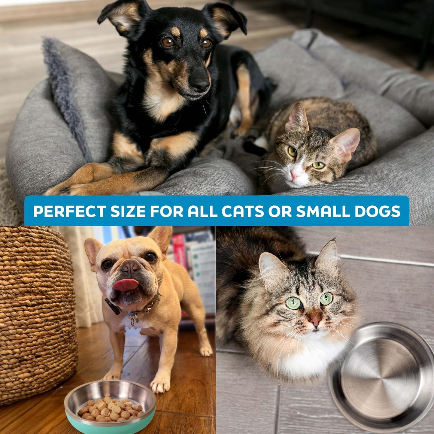Master Pet Supply Stainless Steel Cat Bowls - 9 oz Heavy Duty - Hyper Pink, Double Wall Extra-Thick Insulated, Non-Slip Pet Water Bowl for Cats & Pets, Anti Rust Metal, Dishwasher Safe