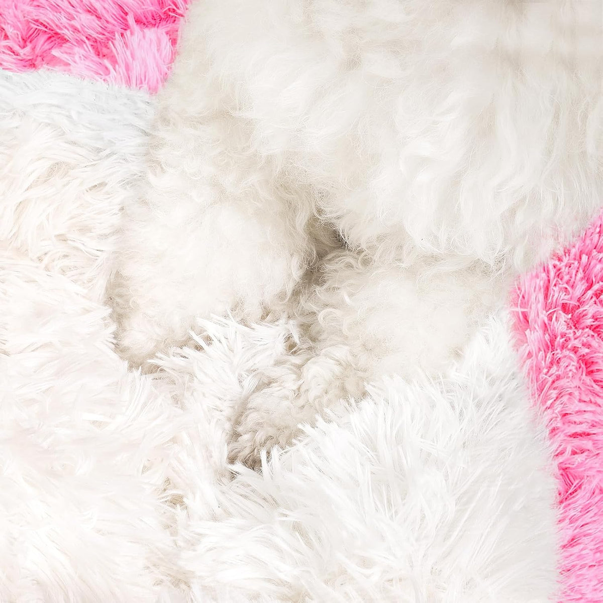 Hooded Donut Bed, Calming Cave for Cats & Small Dogs