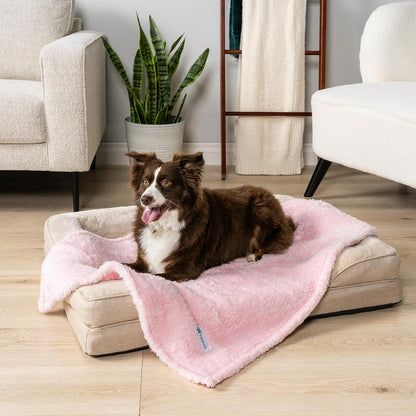 PetAmi Dog Blanket for Small Dogs Pink, Fluffy Soft Puppy Blanket, Sherpa Fleece Cat Blanket for Kitten Doggie, Calming Pet Blanket Throw for Couch Sofa Bed Washable, Small 24x32