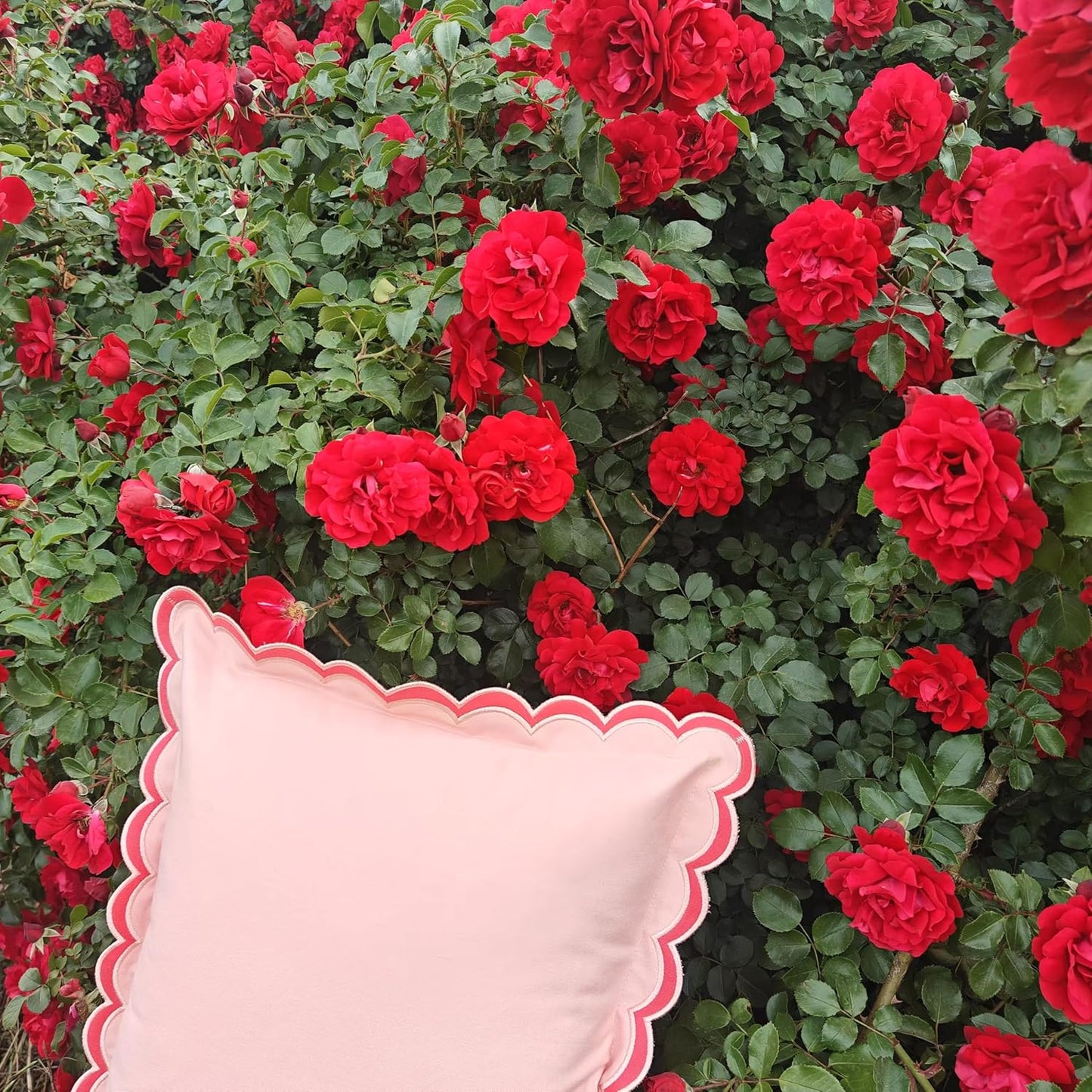 Scalloped Edge Embroidery Pillow Cover Set of 2 | Decorative Throw Pillow Covers | Boho-Chic Cushion Covers for Living Room (Pink)