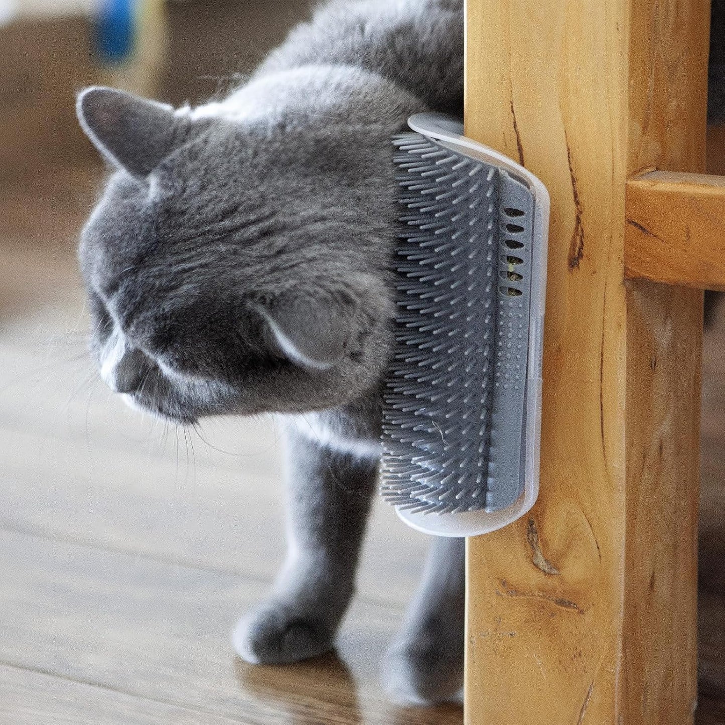 Miwoowim Cat Self Groomer, Extended (6.1"), 2 Pack, Pink, Wall Corner Self Grooming Brush for Indoor Cats, Kitten, Long Short Fur, Massage Comb