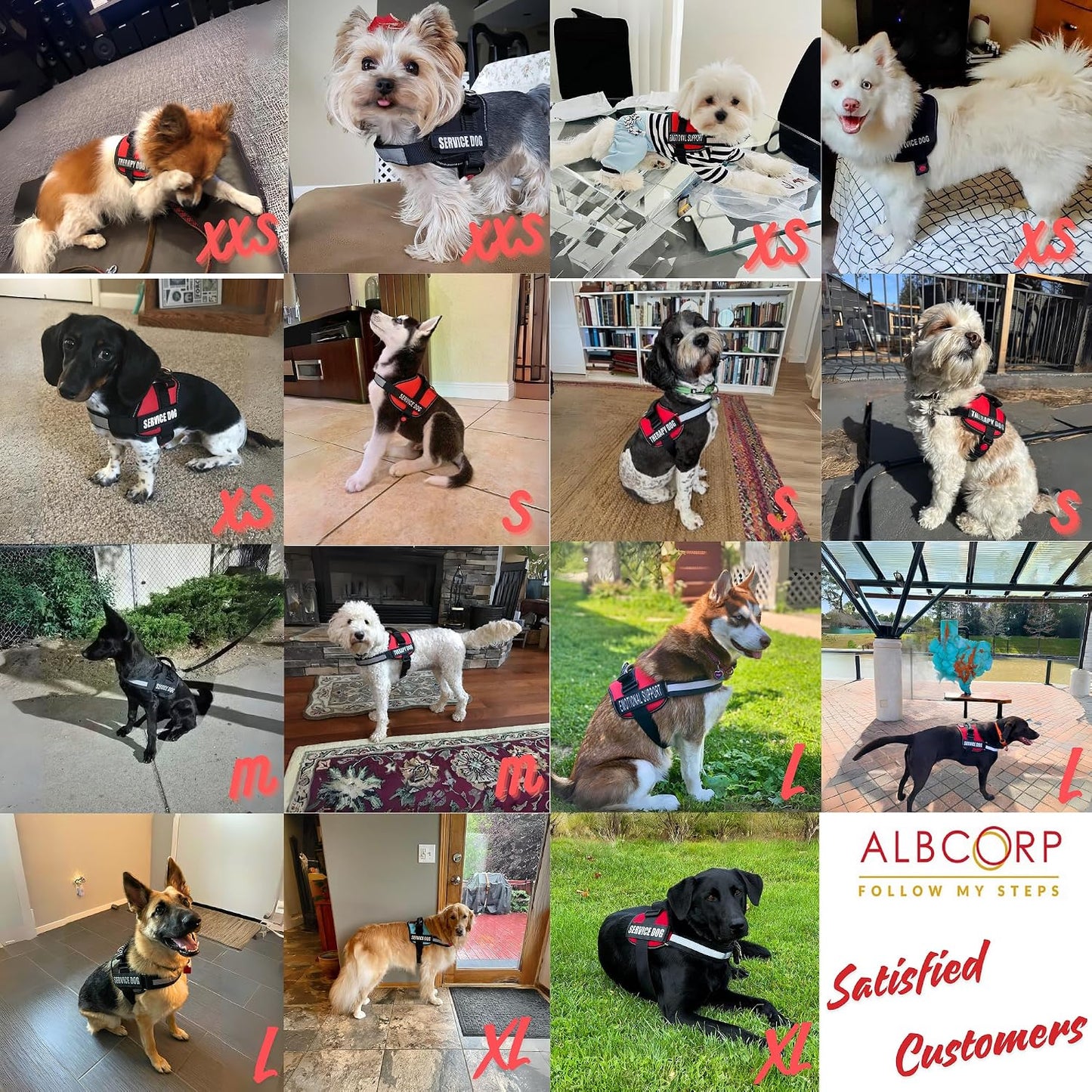ALBCORP Service Dog Vest Harness – Reflective Service Animal Vest, No-Pull Harness with Handle & Mesh Padding – Sizes XXS-XL for Puppies – 2 Removable Service Patches Included (Extra Small, Pink)