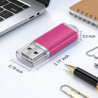 2GB USB Flash Drive 1 Pack Nicepicten Zip Drive USB 2.0 Thumb Drives - Pink