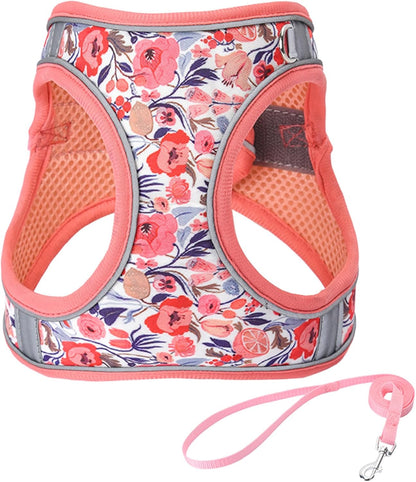 M Peach Flower Pattern Dog Harness and Leash Set,No Escape Puppy Harnesses for Training Walking，Breathable Adjustable Puppy Vest for Small Medium Dogs, Cats (Peach, M)