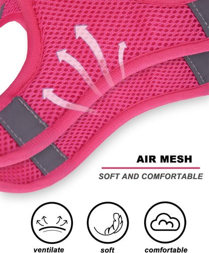 M Peach Flower Pattern Dog Harness and Leash Set,No Escape Puppy Harnesses for Training Walking，Breathable Adjustable Puppy Vest for Small Medium Dogs, Cats (Peach, M)