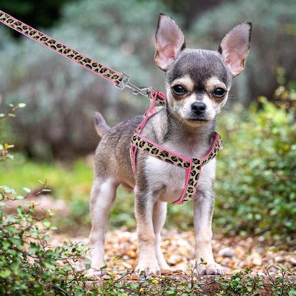 Leopard Dog Harness Collar Leash Set, Adjustable No Pull Dog Halter Harness for Small Breed Dogs, Easy Control for Training Walking (Pink, XS Chest 9"-15", Neck 8"-12")