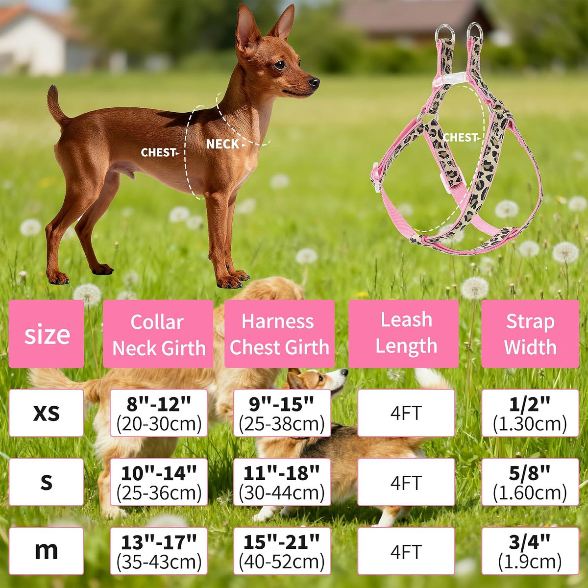 Leopard Dog Harness Collar Leash Set, Adjustable No Pull Dog Halter Harness for Small Breed Dogs, Easy Control for Training Walking (Pink, XS Chest 9"-15", Neck 8"-12")