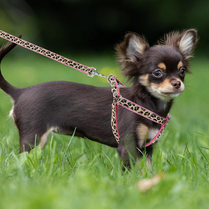 Leopard Dog Harness Collar Leash Set, Adjustable No Pull Dog Halter Harness for Small Breed Dogs, Easy Control for Training Walking (Pink, XS Chest 9"-15", Neck 8"-12")