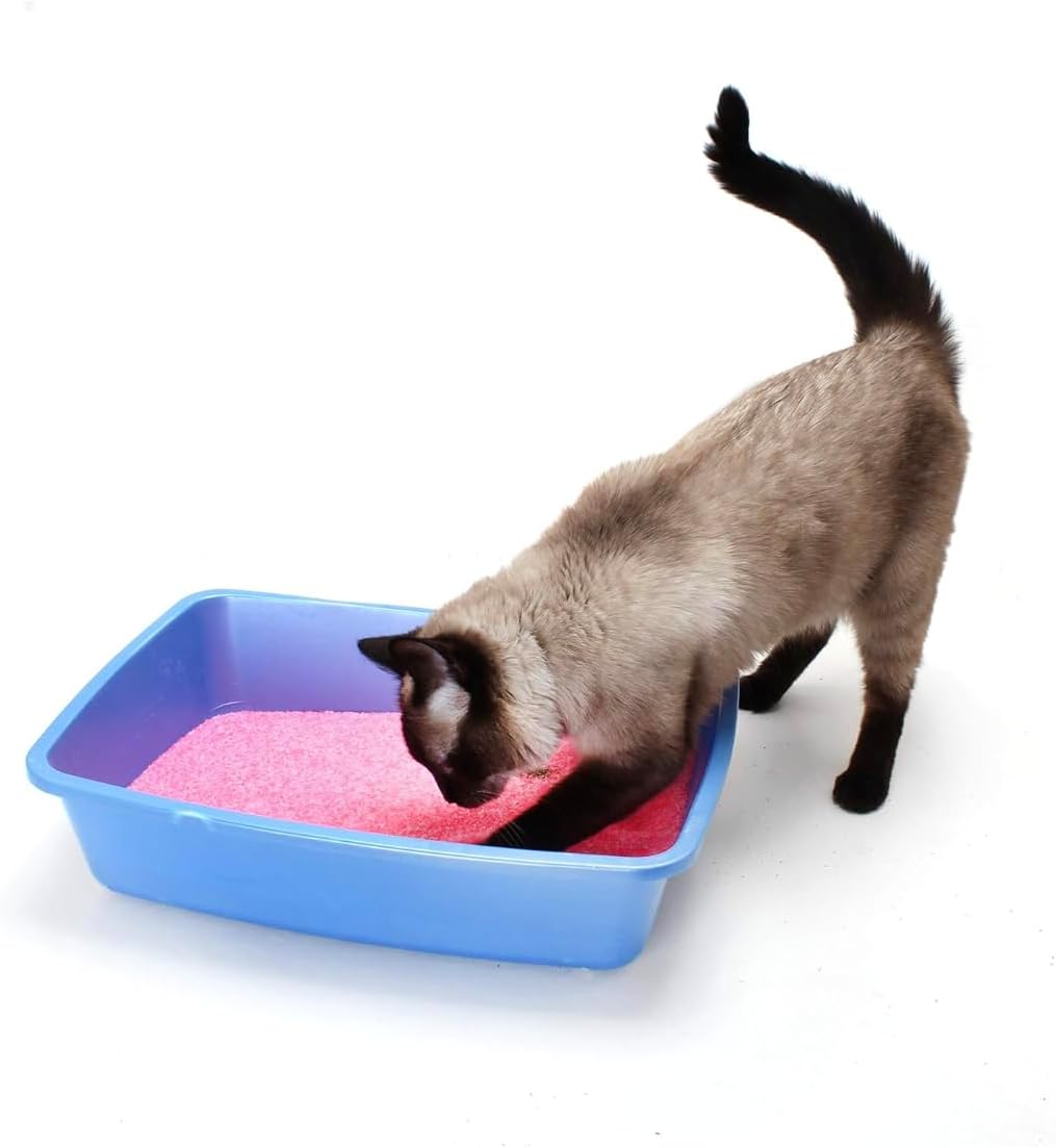NEON Clumping Silica Gel Crystal Cat Litter, Pink